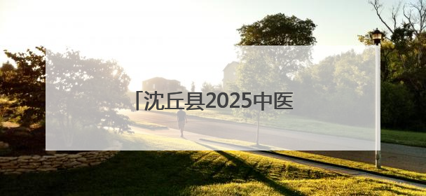 沈丘县2025中医养生夜市火热开市